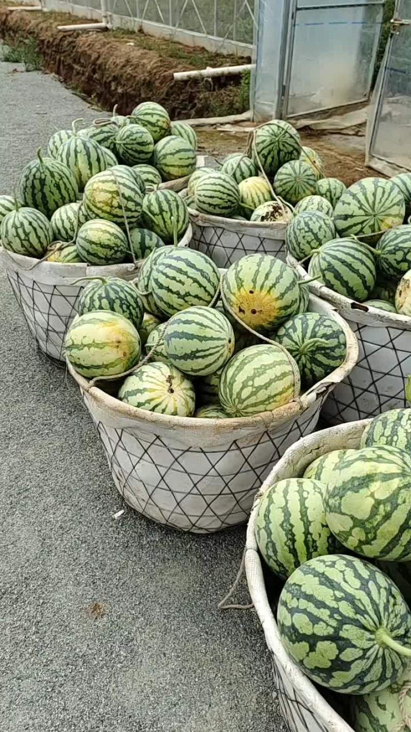 美都