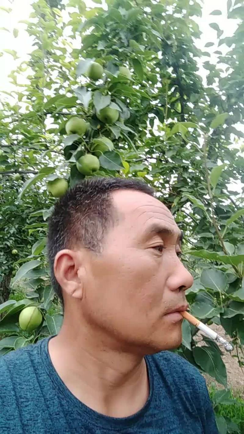早酥梨上市，需求的客商联系一亩田，确保质量，货源多多。