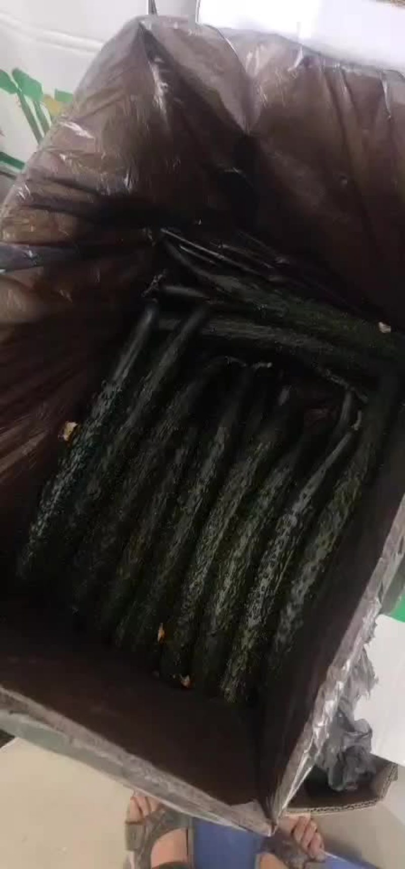黄瓜干花带刺，诚信第一
