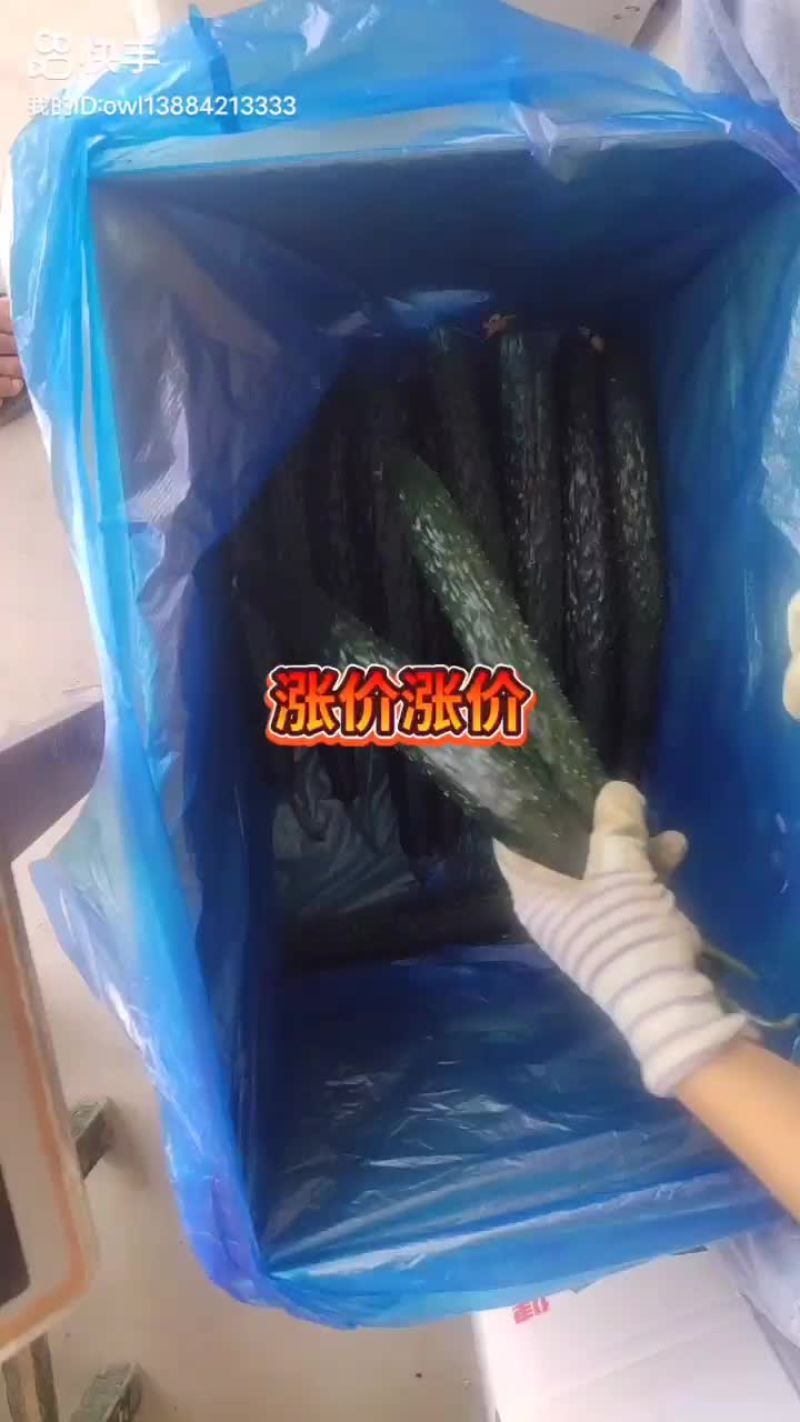 黄瓜干花带刺，诚信第一
