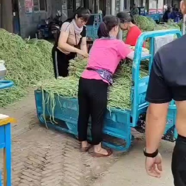 长豆角