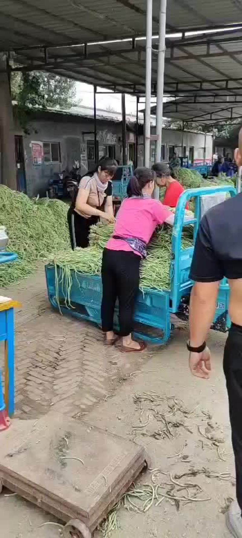 长豆角