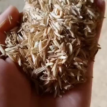 打包稻壳批量出售