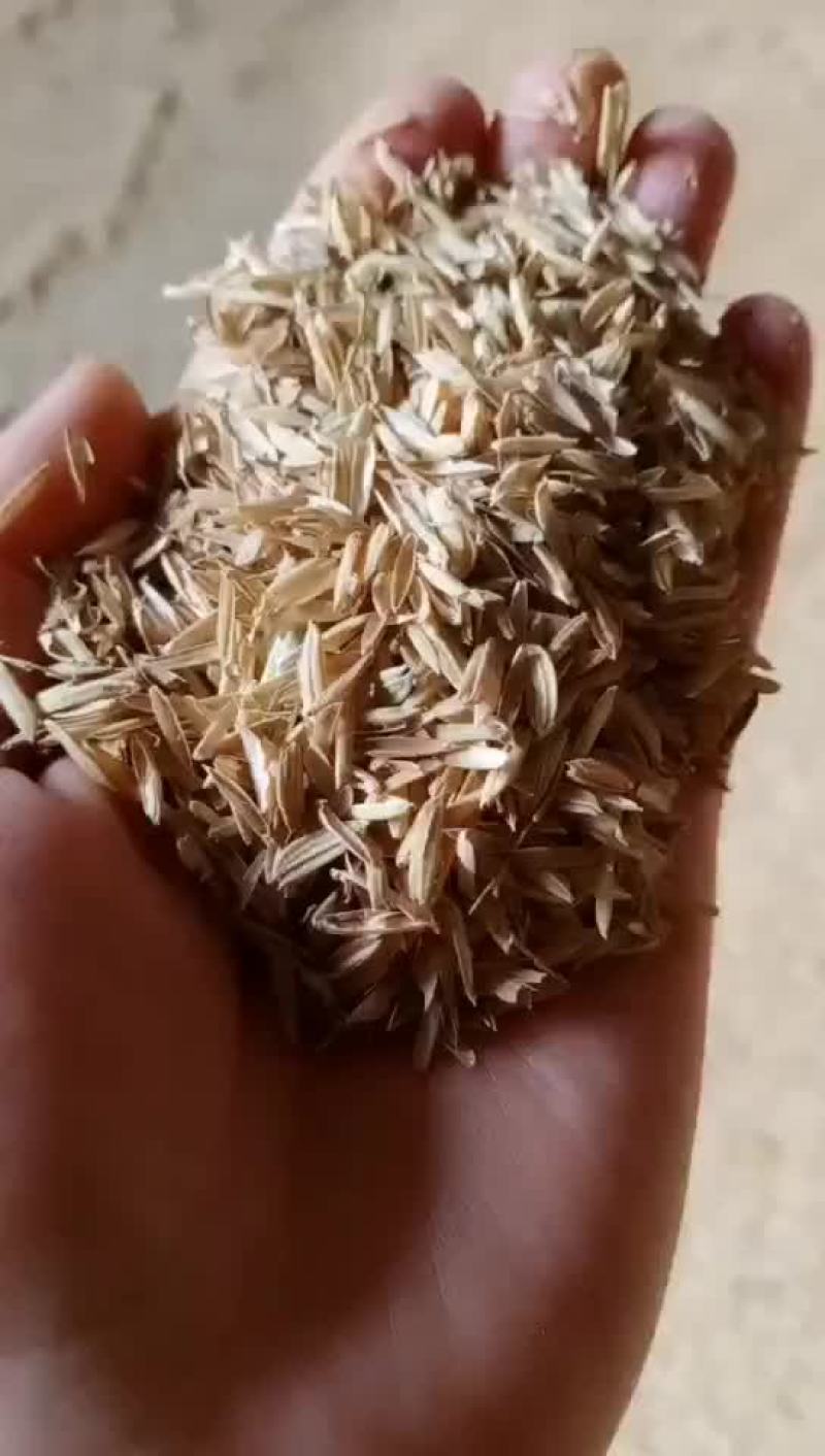 打包稻壳批量出售