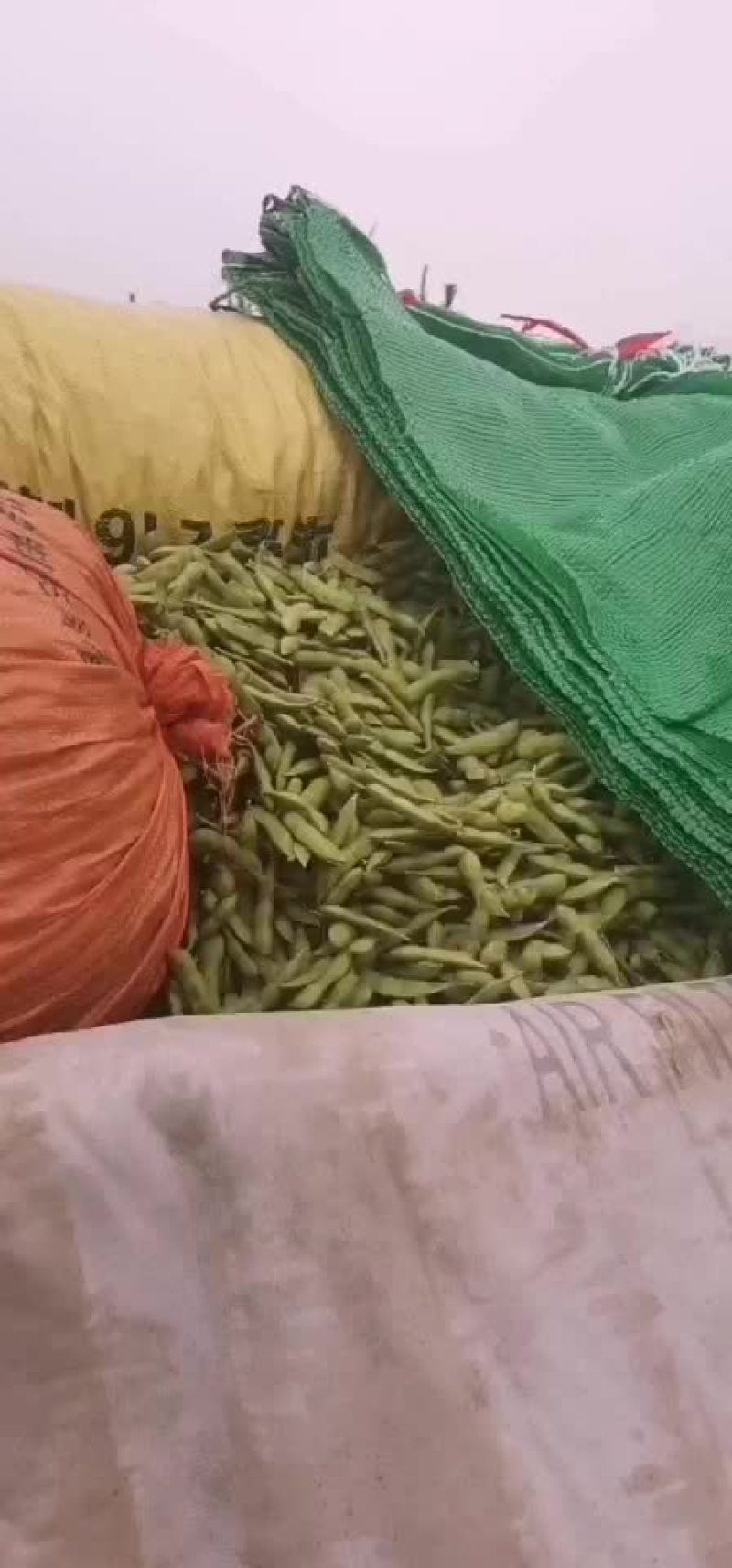 蔬菜