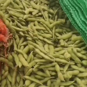 蔬菜