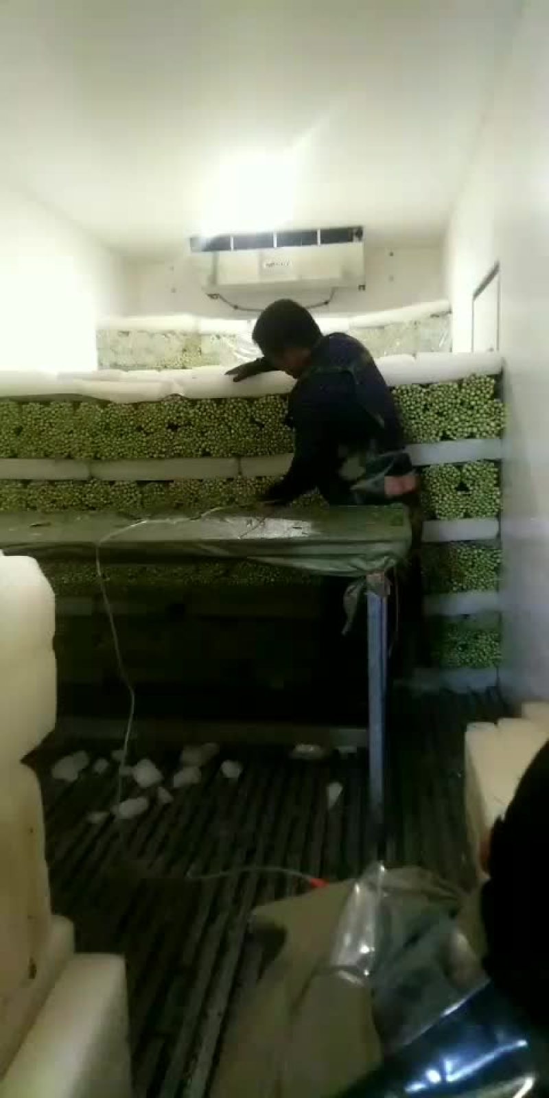 定西的量蔬菜