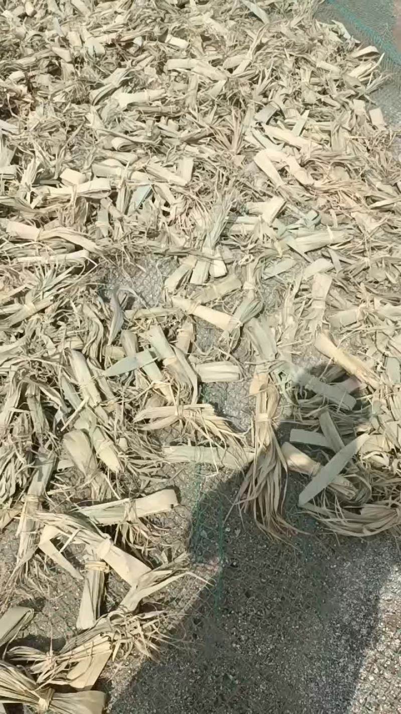 盘锦干苇叶