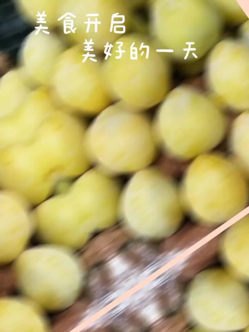 黄金耐李