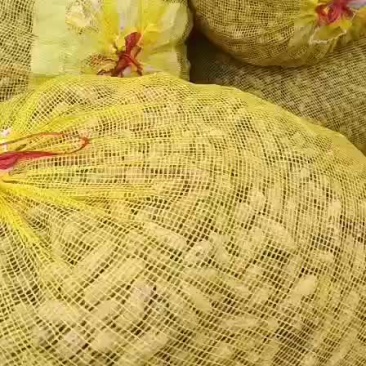 四粒红花生