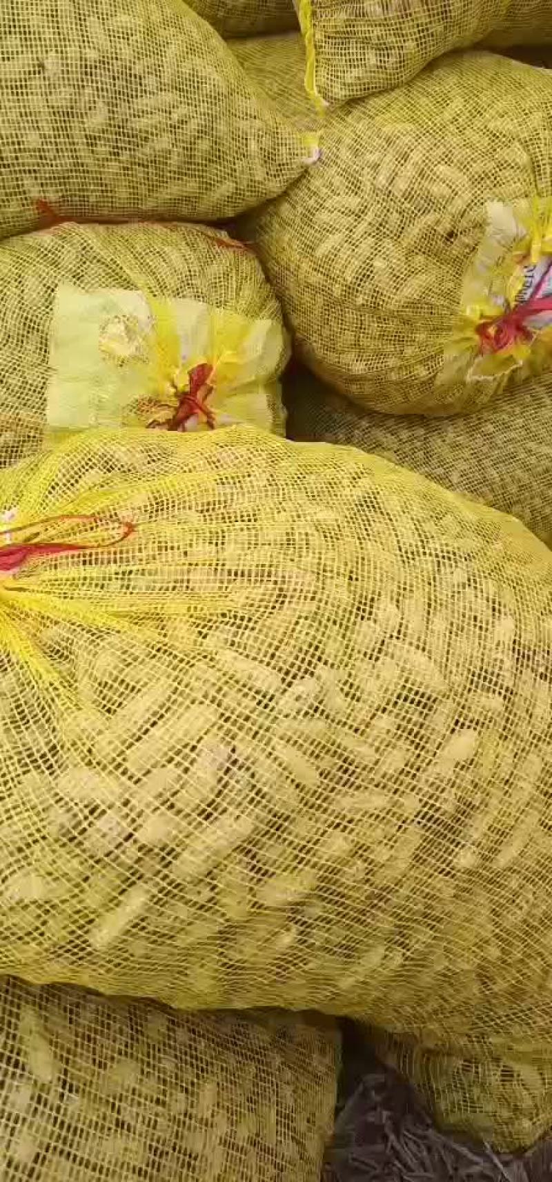 四粒红花生