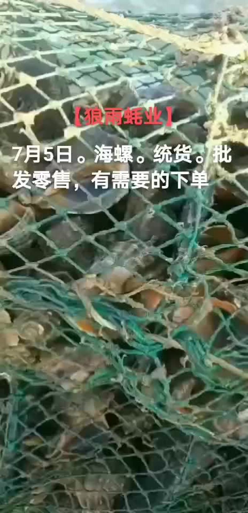 海螺