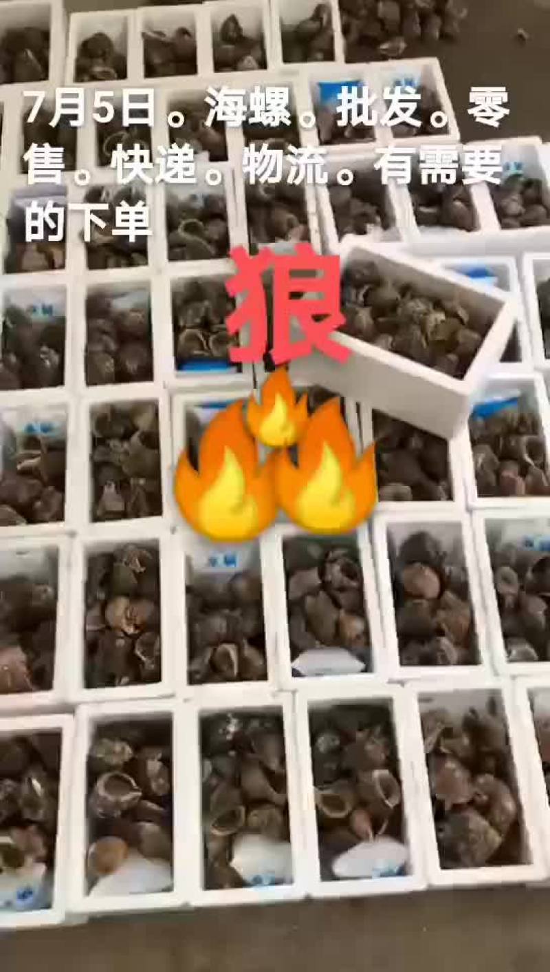 海螺
