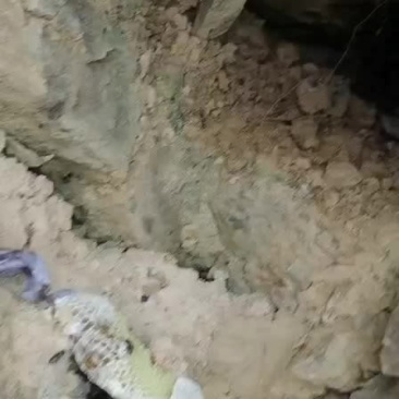 蜂蜜