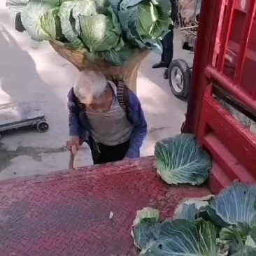 蔬菜