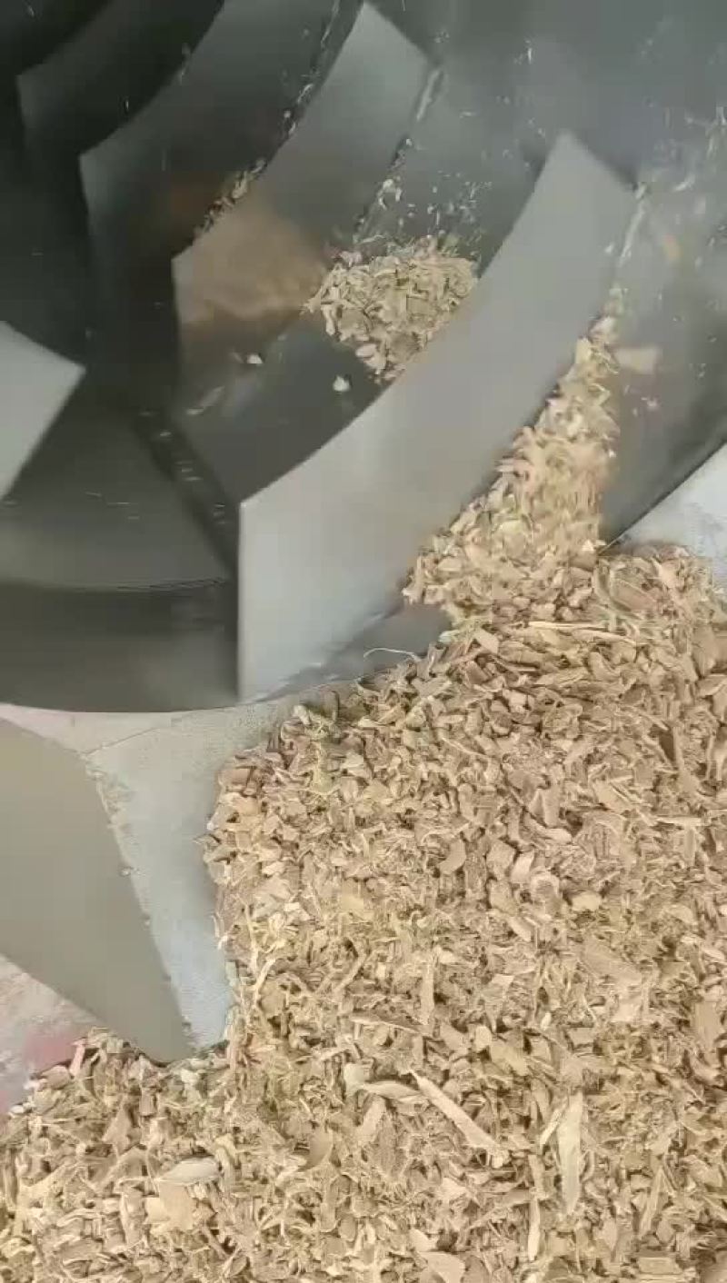 椿皮干净无杂质干货常年经营各种中药材