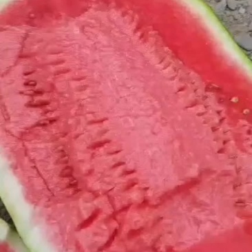 西瓜