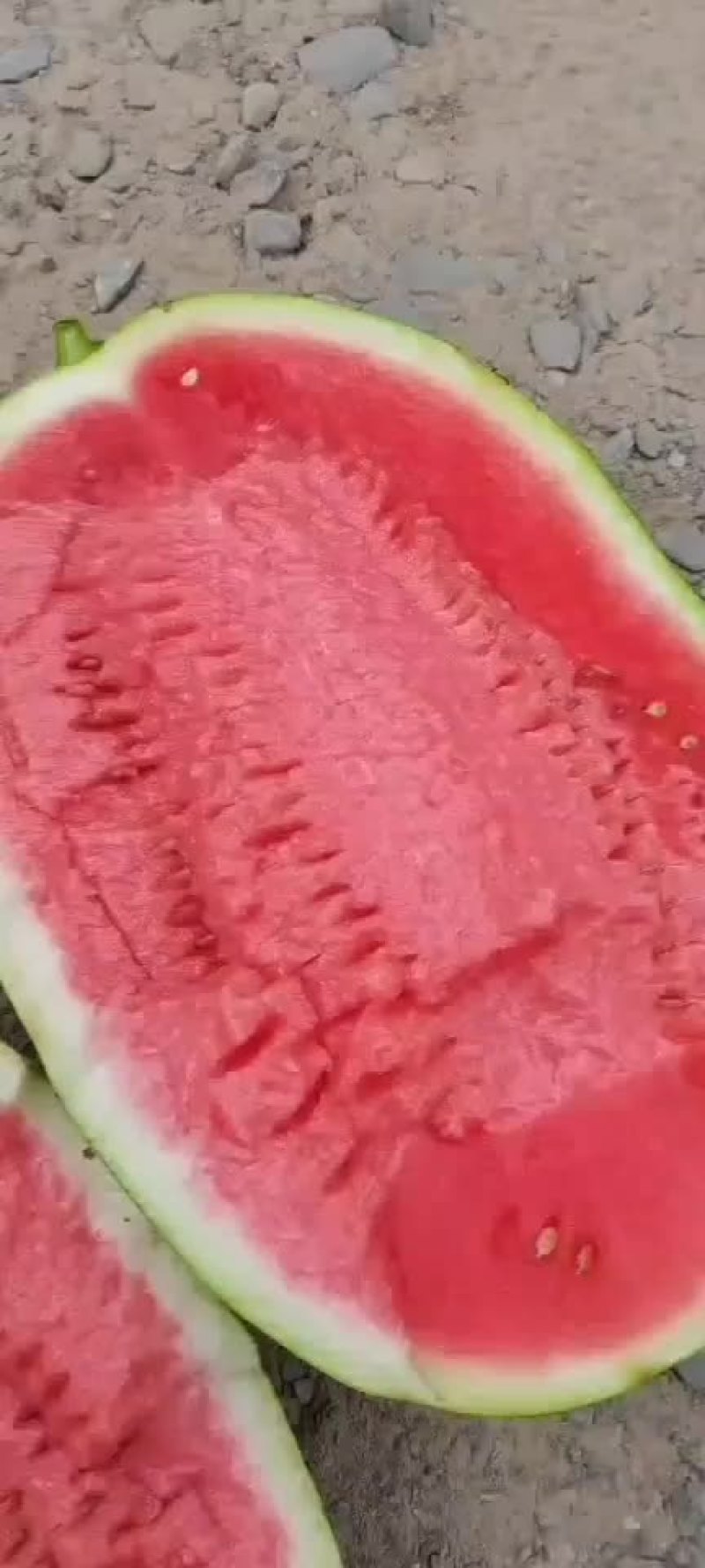 西瓜