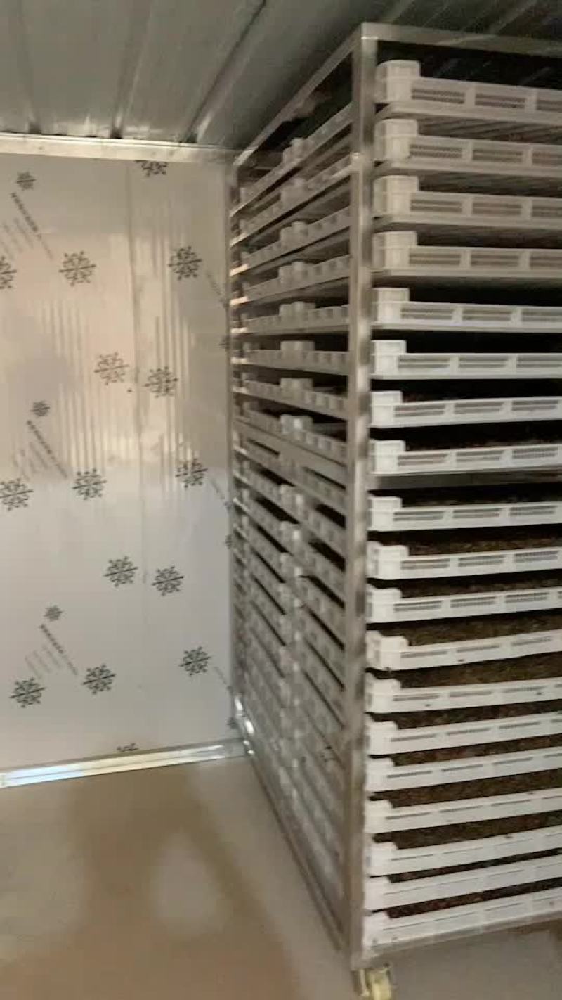 虫干低温烘干虫干喂鸡喂鱼喂鸭