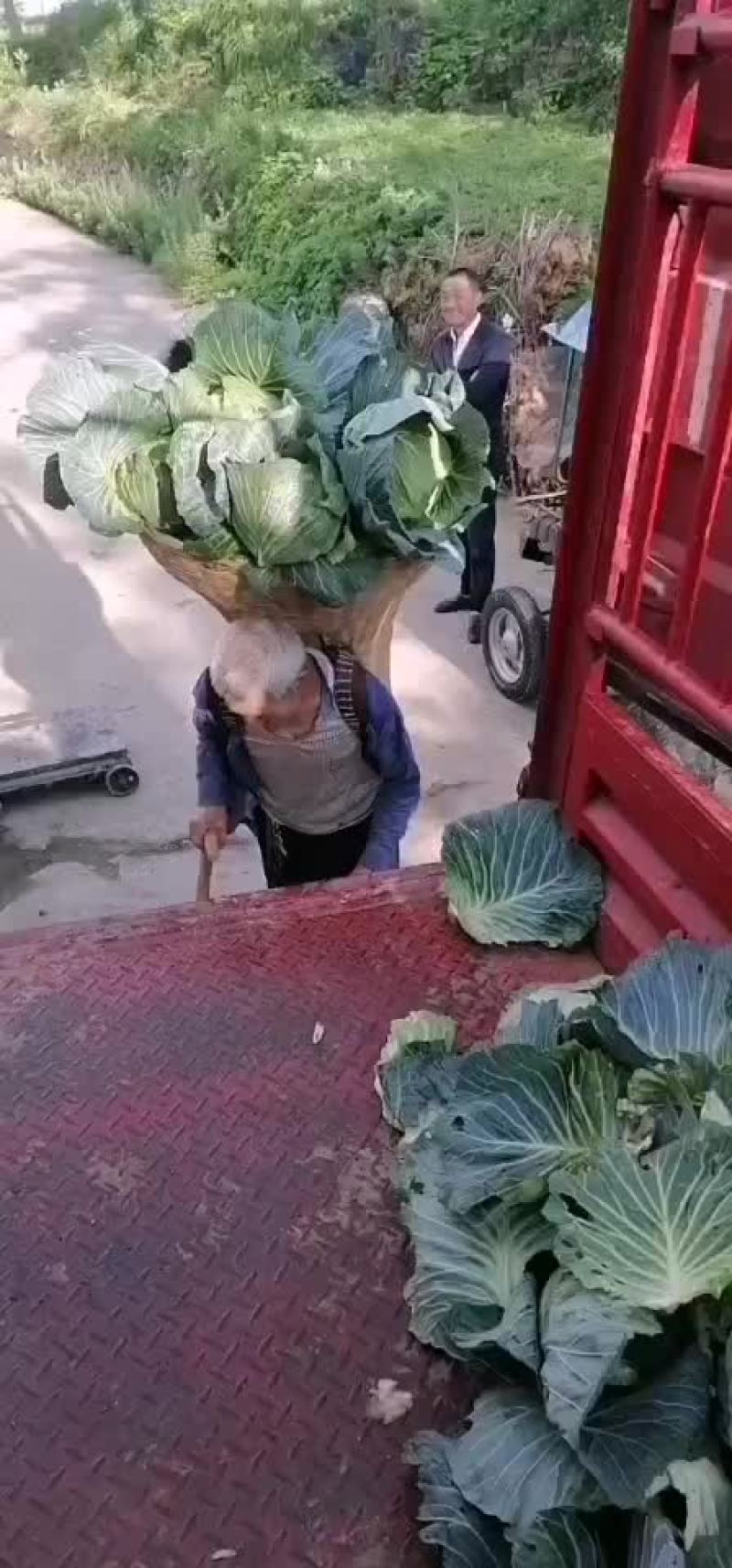 蔬菜
