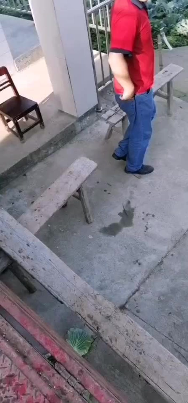 蔬菜