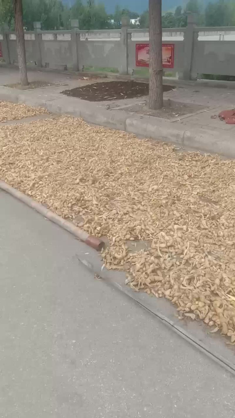 黄精