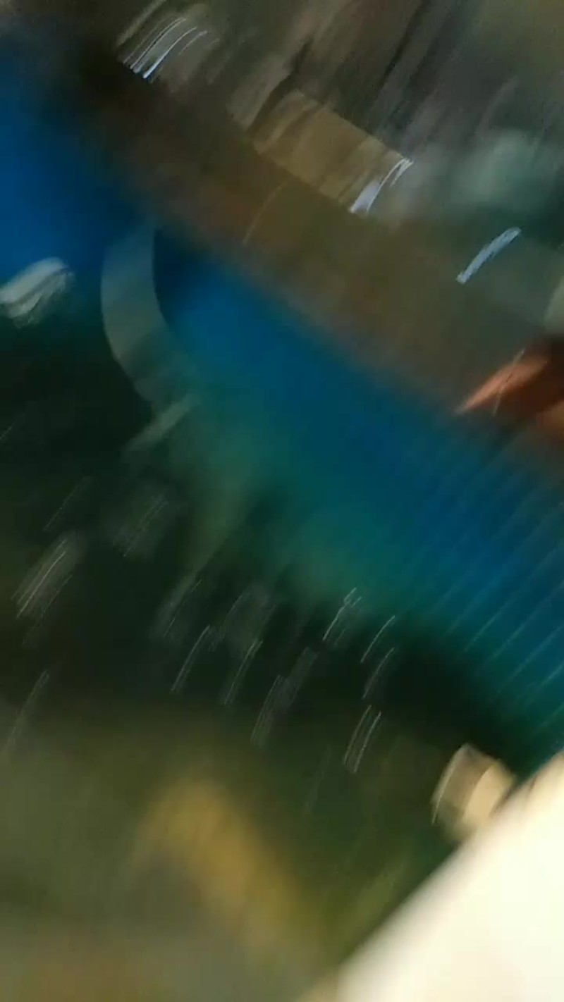天目湖鱼