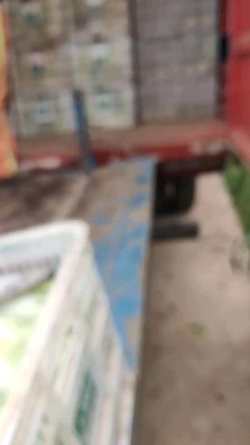 蔬菜