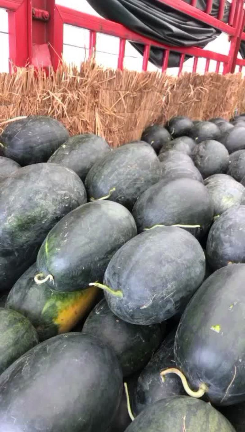 西瓜