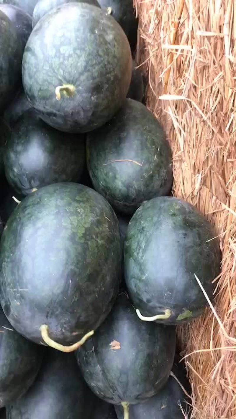 西瓜