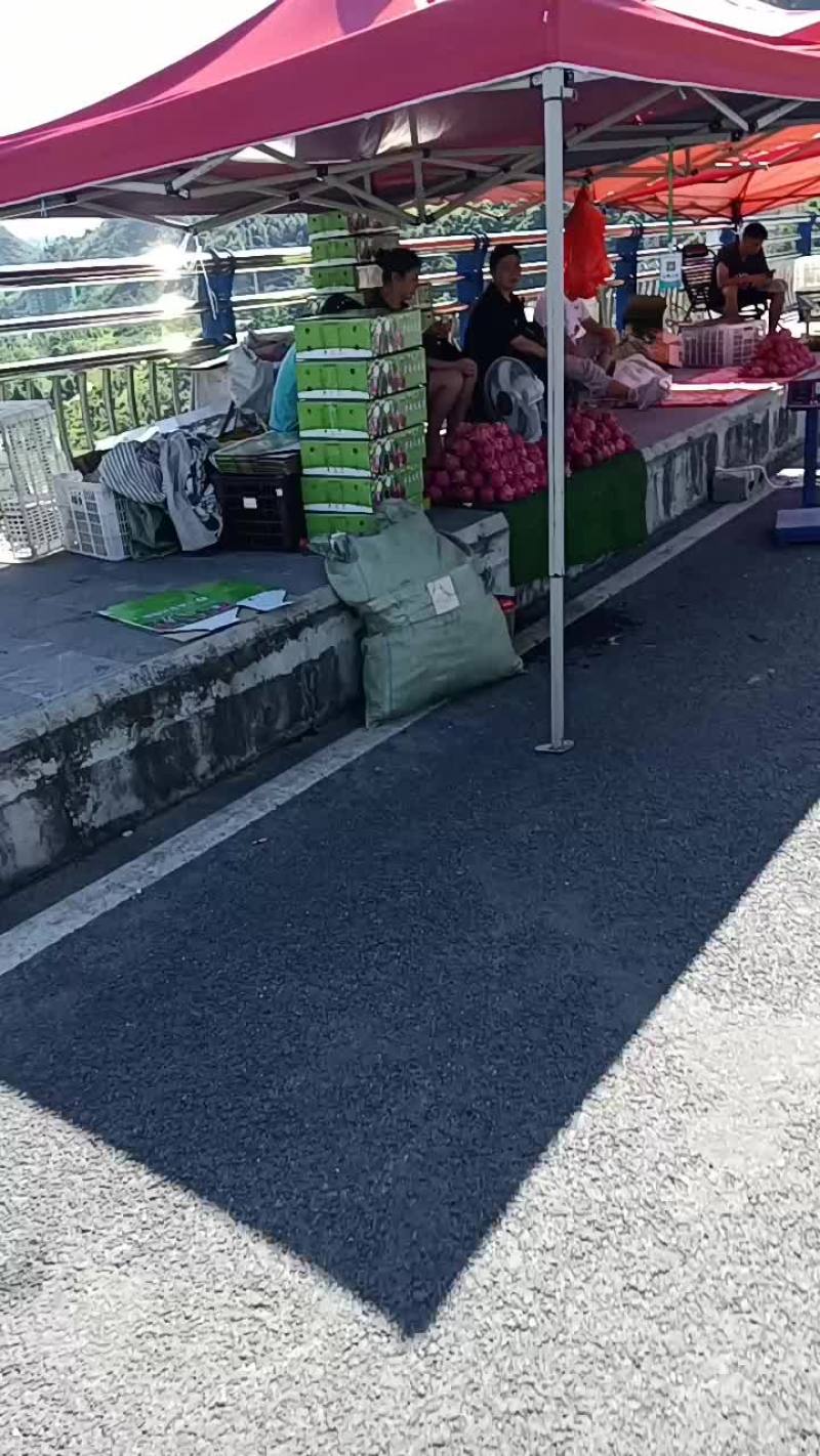 火龙果