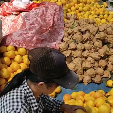 8-8精品黄油桃大量有货，有需要的抓紧了
