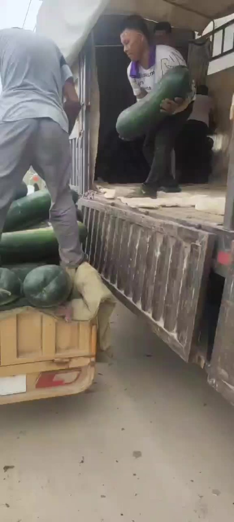 冬瓜