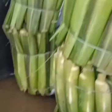 美人茭