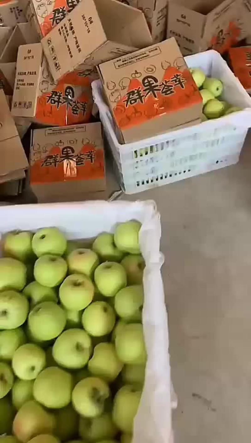 万亩果园陕西光果嘎啦苹果已经上市长年电商收货一件代发
