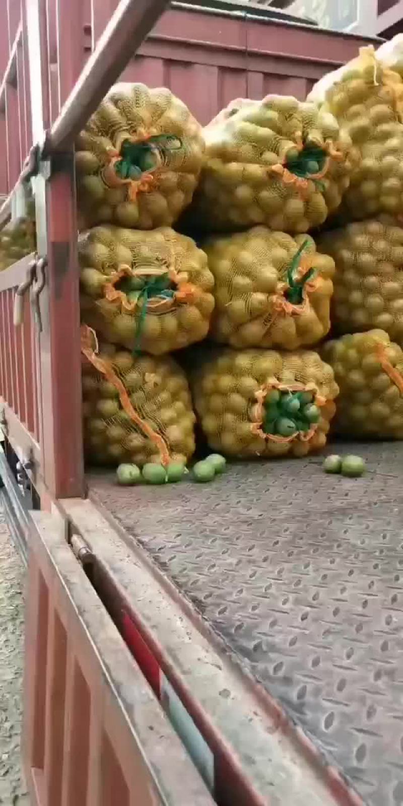 青皮核桃