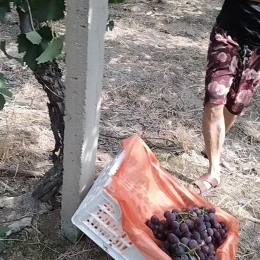 巨锋热卖中…