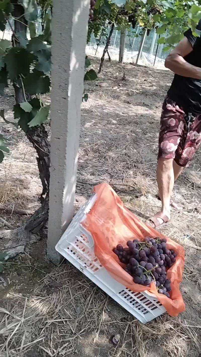 巨锋热卖中…
