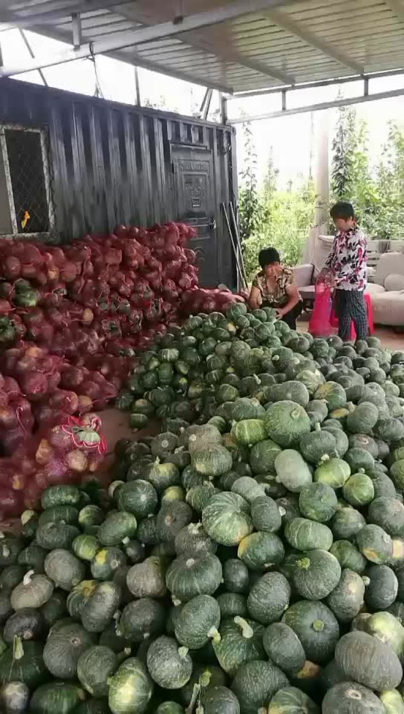 板栗南瓜。