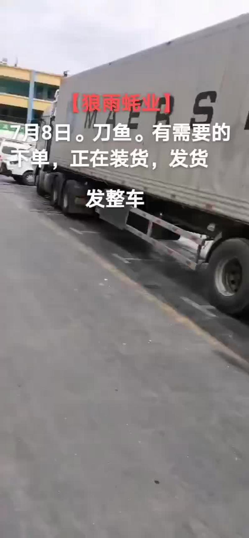 刀鱼
