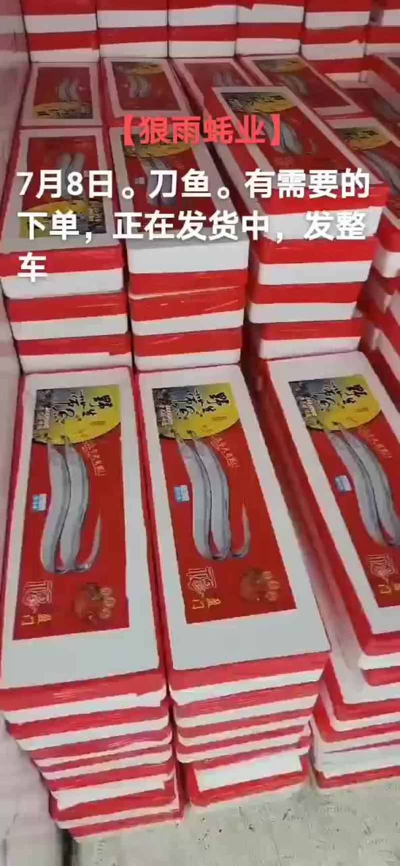 刀鱼