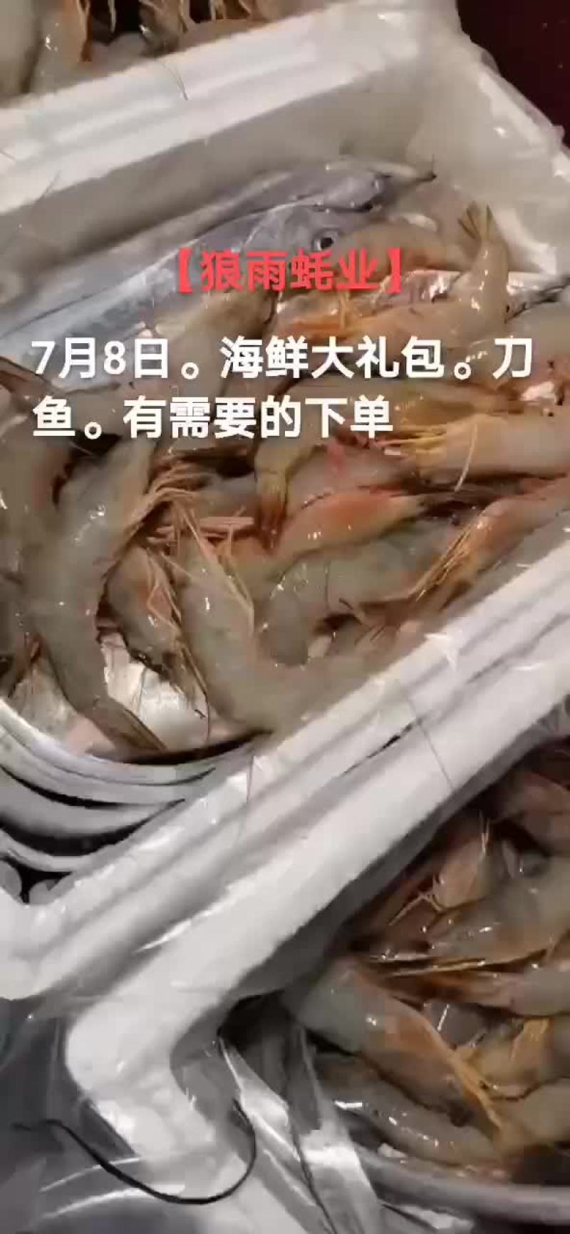 刀鱼