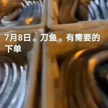 刀鱼