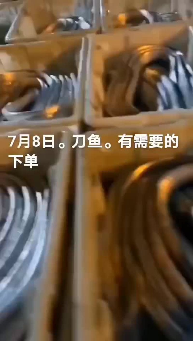 刀鱼