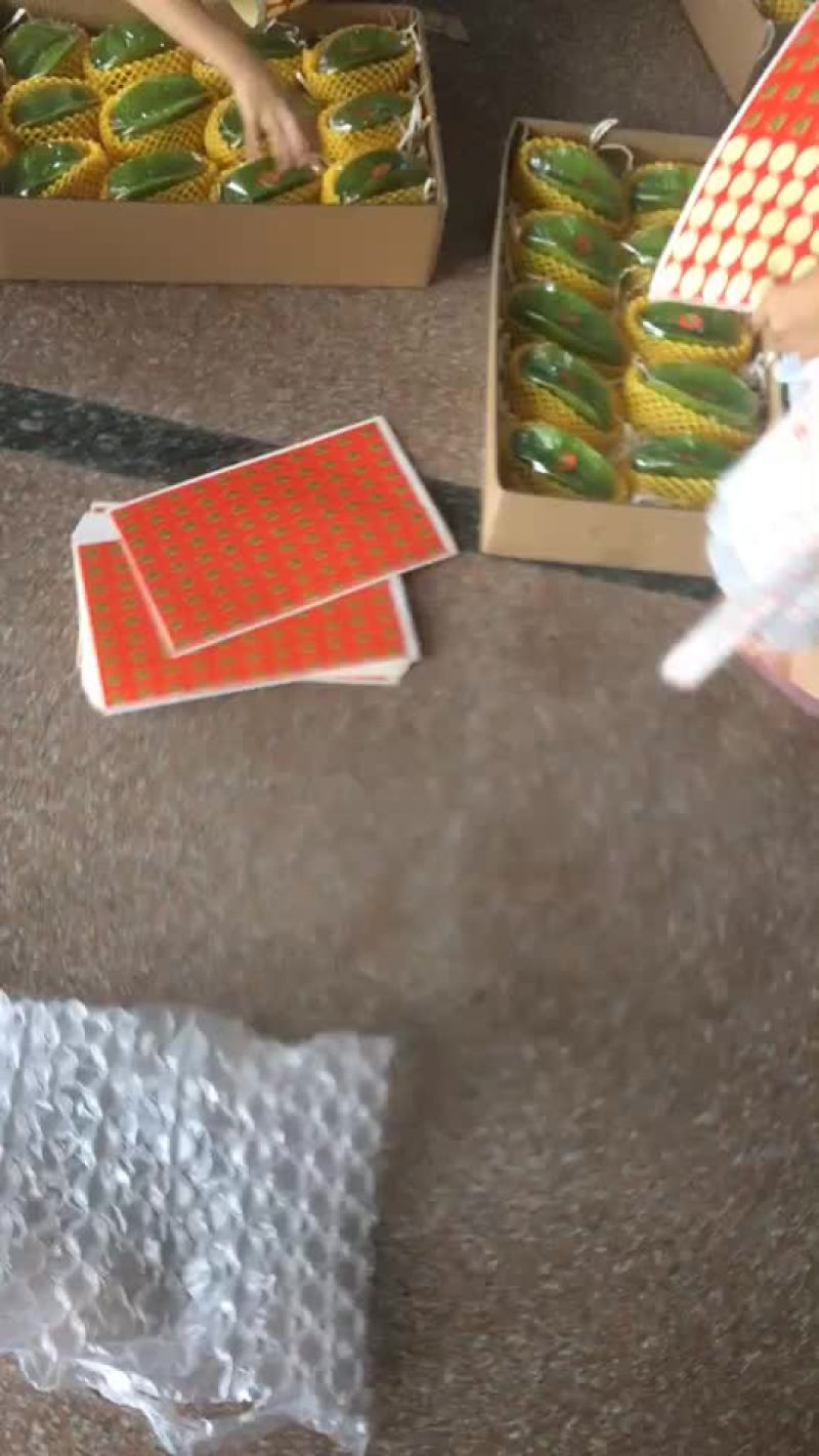 团购看过来