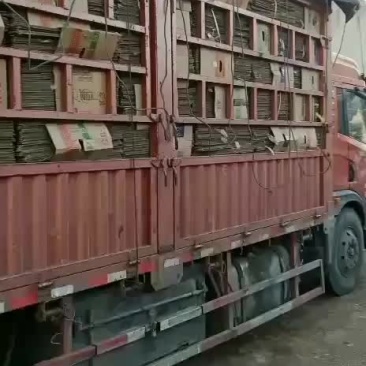 出售香蕉箱要的联系我