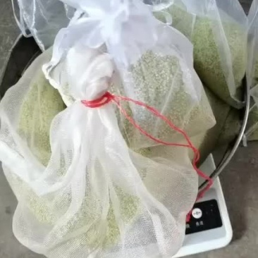豆丹卵