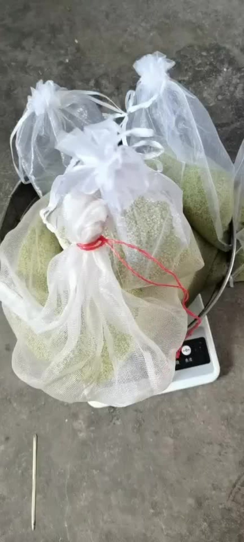 豆丹卵