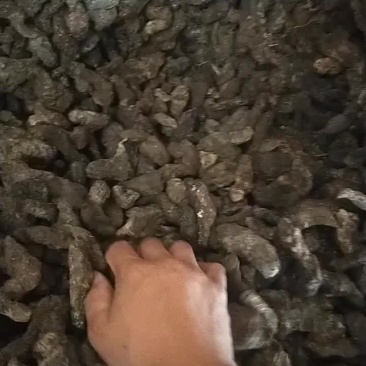 生地新货大统货没底