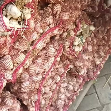 大蒜